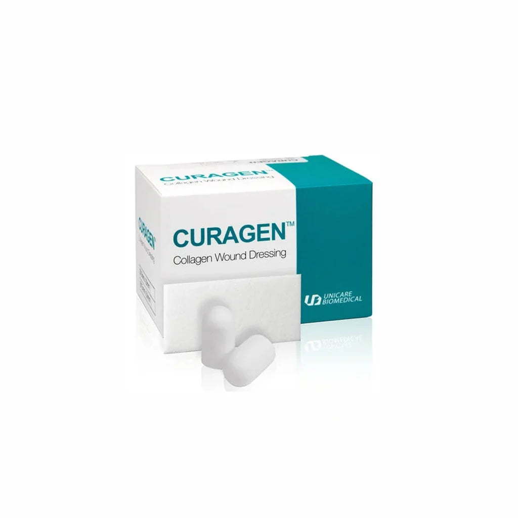 Collagen Dental Plug 10 × 20 mm
