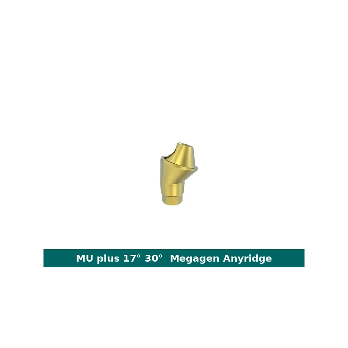 Megagen Anyridge MU Angulated Abutment (17° / 30°)